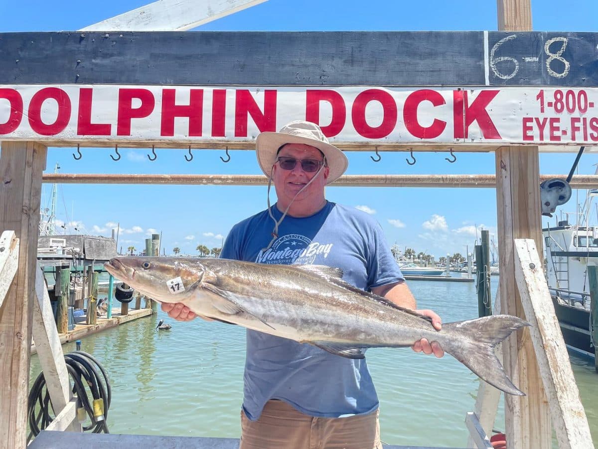 An angler holding a ling caught on a Dolphin Dock trip