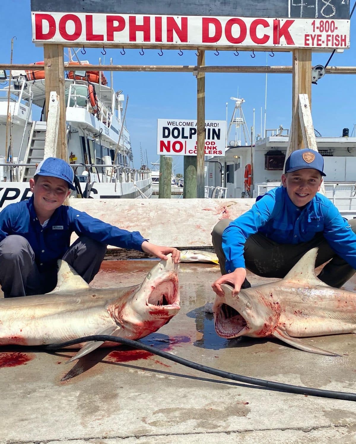 Anglers at the dock with snapper and shark from a day offshore